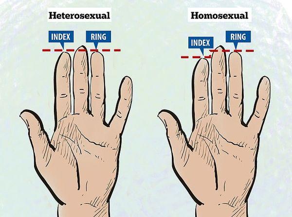 Xem ngón tay áp út của đàn ông, biết ngay người đó khỏe hay yếu, chung thủy hay lăng nhăng-2