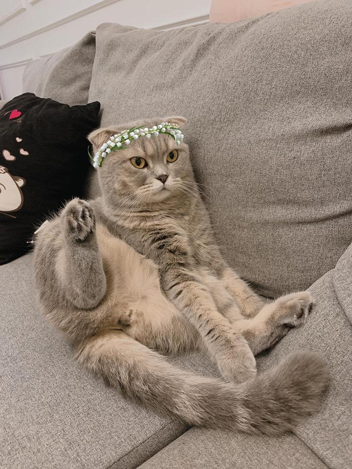 Khoe ảnh so deep Midu lấp lửng nói về những giông bão trong lòng-9