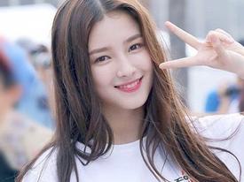 Tử vi Chủ Nhật ngày 14/7/2019 của 12 con giáp: Sửu thu được nợ cũ, Dần mù quáng khi yêu Tử vi Chủ Nhật ngày 14/7/2019 của 12 con giáp: Sửu thu được nợ cũ, Dần mù quáng khi yêu