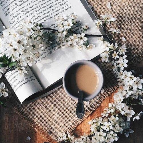 Tử vi Chủ Nhật ngày 14/7/2019 của 12 con giáp: Sửu thu được nợ cũ, Dần mù quáng khi yêu-2