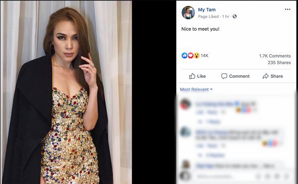 Mỹ Tâm đáp trả vừa đanh vừa chất khi bị mỉa mai học đòi đăng status bằng tiếng Anh-1