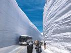 Con đường nằm giữa tường tuyết cao 20 m hút khách ở Nhật Bản