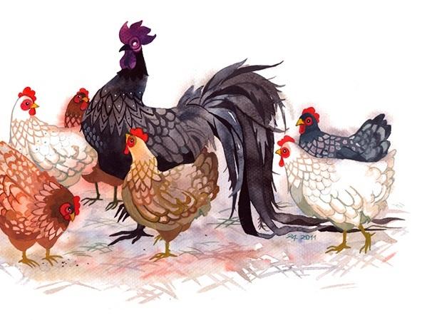 3 con giáp sinh ra đã là quý nhân của người khác, mình không giàu thì cũng muốn giúp cho người khác giàu-4