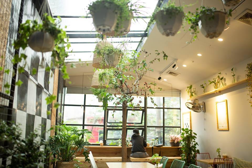 Đến Hải Phòng, check in ngay những quán cà phê đẹp không góc chết, ngồi 1 lần là mê mẩn quên lối về-7