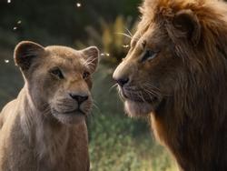 Đạo diễn 'The Lion King' từng lo sợ bộ phim bị chỉ trích