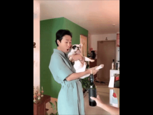 Chết cười chú mèo trong Về Nhà Đi Con: Thấy ông Sơn thì vuốt ve nhưng với tiểu tam Nhã lại không thể tưởng tượng nổi-5