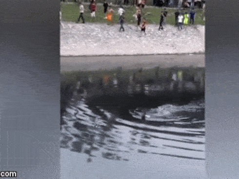 Clip: Sông Tô Lịch vẫn còn đen ngòm, nam thanh niên nhảy xuống bơi mặc người trên bờ kêu gọi ‘Lên đi’