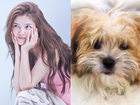 3 con giáp lúc nào cũng cho mình là số 1, có tiền là xếp người khác dưới mình-5