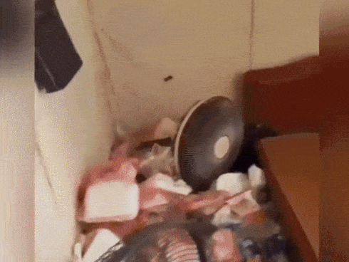 Clip đỉnh cao ở bẩn của nam sinh Hà Nội: Phòng ngập rác bốc mùi ai vào cũng phải bịt mũi, choáng váng nhất là nhà vệ sinh