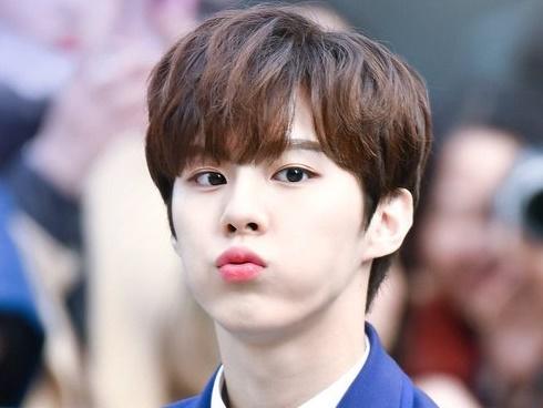 Ức chế với Produce X 101, Knet kêu gọi lập nhóm riêng cho những thực tập sinh debut hụt vừa đẹp trai lại có tài-5