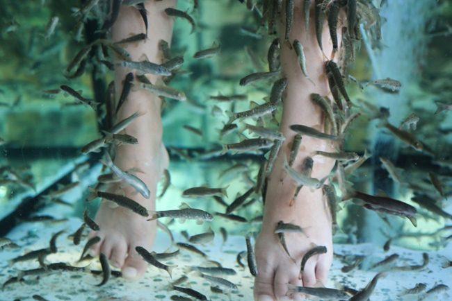 Ngạc nhiên với những dịch vụ kỳ lạ tại các sân bay trên thế giới-1