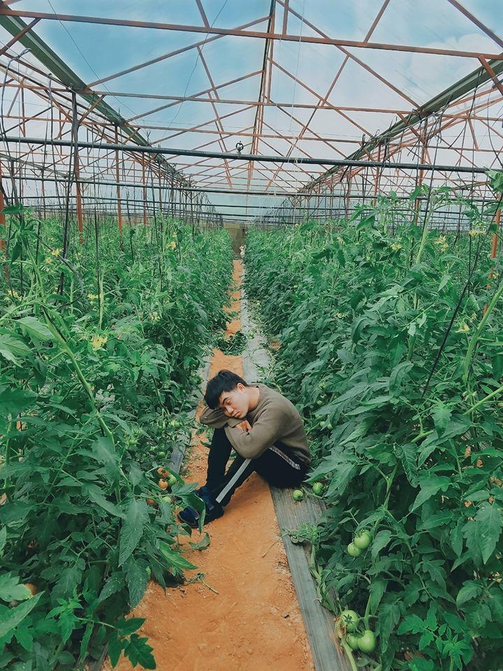 Thanh niên chơi trội chụp bộ ảnh vừa đi chơi vừa ngủ gật tại Đà Lạt không ngờ nhận cơn bão chia sẻ mạng xã hội-15