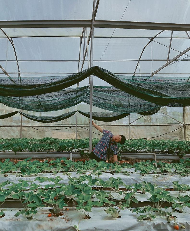 Thanh niên chơi trội chụp bộ ảnh vừa đi chơi vừa ngủ gật tại Đà Lạt không ngờ nhận cơn bão chia sẻ mạng xã hội-14
