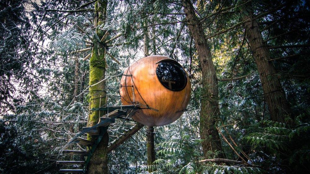 Nhà phù thủy, căn hộ hình chó và các khách sạn kỳ lạ nhất thế giới-3