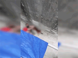 Clip: Chó nhà nuôi lao vào cắn xé bà ngoại, máu chảy đầm đìa, cháu gái cố giải cứu trong bất lực-3