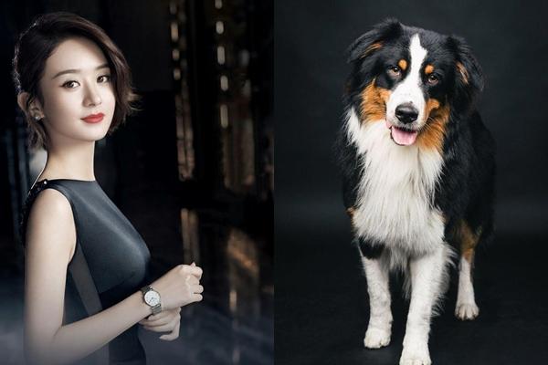 3 con giáp tài lộc đầy tay, tiền tiêu cả mớ trong 10 ngày cuối tháng 7/2019-3