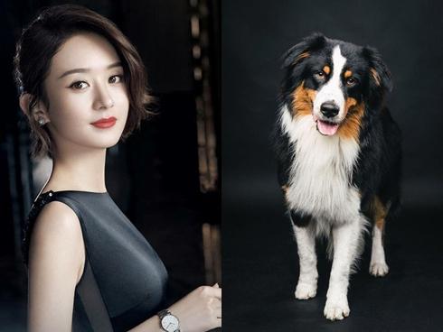 3 con giáp tài lộc đầy tay, tiền tiêu cả mớ trong 10 ngày cuối tháng 7/2019