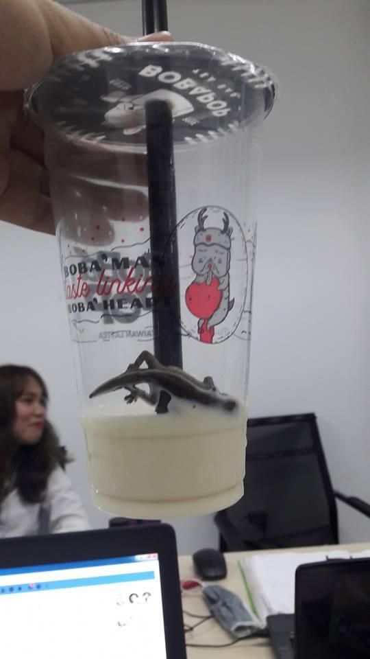 Khách tố trà sữa có thạch sùng, hội mê trà sữa khiếp vía, nhìn đã muốn ói nói gì đến uống...-4