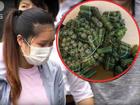 Nữ du học sinh Việt bị bắt vì mang 360 quả trứng vịt lộn và 10kg thịt lợn đến Nhật Bản: Từng bán 200k/10 cái nem chua?