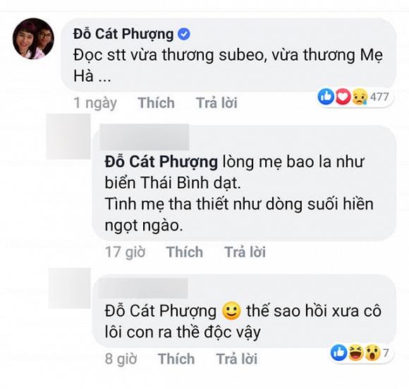 Chỉ là động viên Hồ Ngọc Hà thôi mà Cát Phượng bị dân mạng đào xới việc từng lôi con trai ra làm lá chắn scandal-2