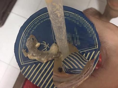 Vụ 'cốc trà sữa bị lẫn thạch sùng': Khách chờ 3 ngày mới lên tiếng?