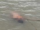 Người thuyền chài phát hiện thi thể bé trai nổi trên sông Cấm ở Hải Phòng