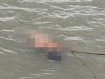 Người thuyền chài phát hiện thi thể bé trai nổi trên sông Cấm ở Hải Phòng