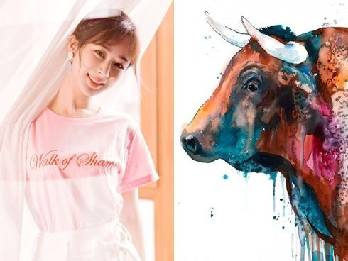 Tử vi thứ Bảy ngày 27/7/2019 của 12 con giáp: Tý tránh mua sắm phung phí, Dần đau đầu chuyện tình cảm-5