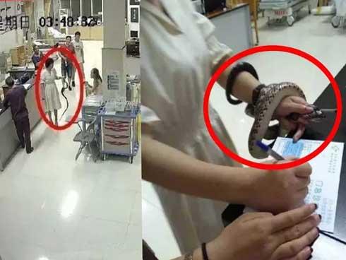 Bị hổ mang chúa dài 3m cắn, người đàn ông ở Tây Ninh mang cả thủ phạm đi cấp cứu-7