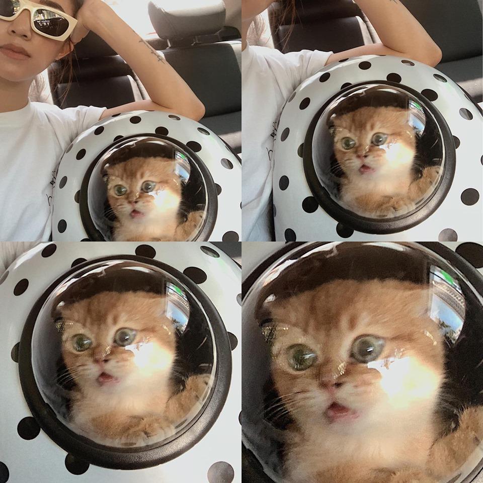 Hé lộ clip hậu trường Chi Pu mua chuộc khi fans đến xem hotgirl biểu diễn-6