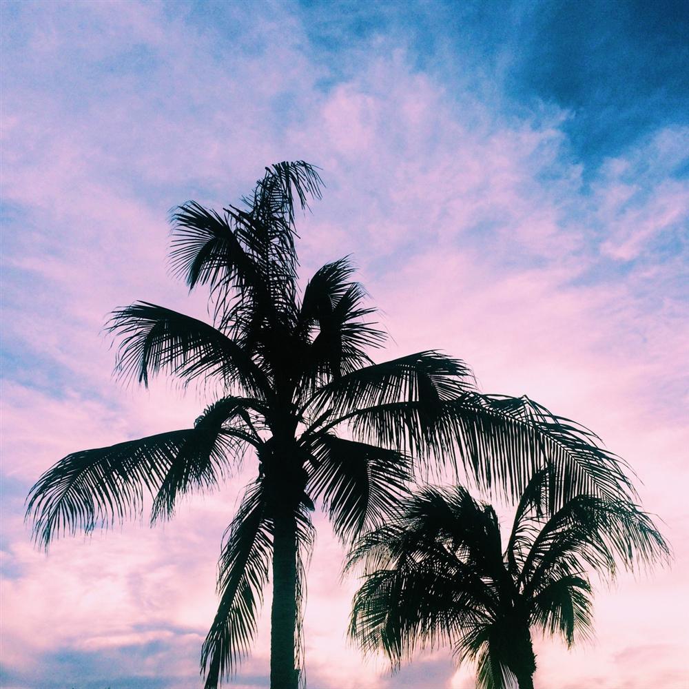 Tử vi thứ Bảy ngày 27/7/2019 của 12 con giáp: Tý tránh mua sắm phung phí, Dần đau đầu chuyện tình cảm-2