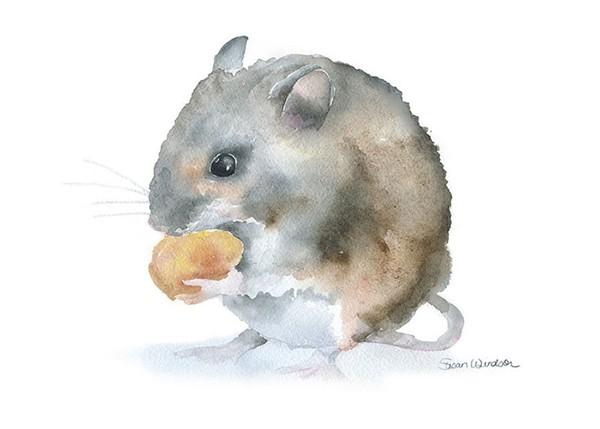 Kết hôn trong 3 tháng tới, 5 con giáp này sẽ thêm phần hạnh phúc viên mãn, thuận lợi đủ đường-1