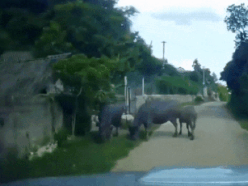 Clip: Nam thanh niên quằn quại, lăn lộn giữa quán nước, vừa la hét vừa gọi ‘Bố mẹ ơi, cứu con’-5