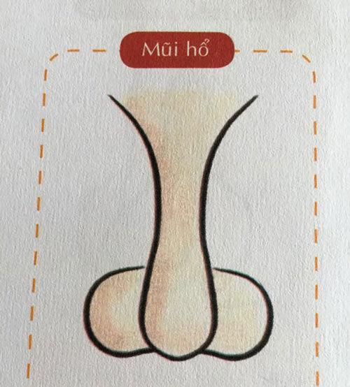 Sở hữu tướng mũi này, bạn là bậc kỳ tài trong thiên hạ, tài vận hanh thông không ai sánh bằng-1