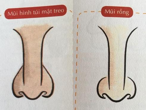 Sở hữu tướng mũi này, bạn là bậc 'kỳ tài trong thiên hạ', tài vận hanh thông không ai sánh bằng