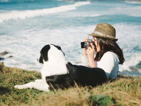 Giới trẻ Hàn chi mạnh, không tiếc tiền đưa thú cưng đi du lịch