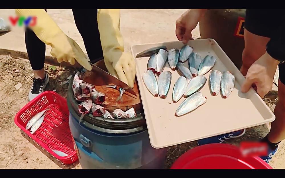 Ghê tay khi chặt cá, hoa hậu Đỗ Mỹ Linh bị ném đá vì tính cách quá tiểu thư tại Cuộc đua kỳ thú-3