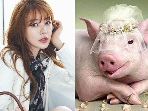 Top ba con giáp trời sinh đã mang vận số 'ngậm thìa vàng', nhờ người thân nên giàu có sung túc không phải chịu cảnh thiếu tiền dù chỉ một giờ