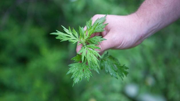 4 vật trừ tà đừng quên mang ra khỏi nhà tháng 7 cô hồn nếu muốn tránh vận xui đeo bám-4