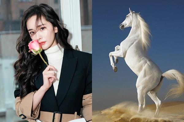 3 con giáp đánh bật 9 con còn lại để vươn tới đỉnh cao sự nghiệp, lên chức ầm ầm trong tháng 8 dương-2