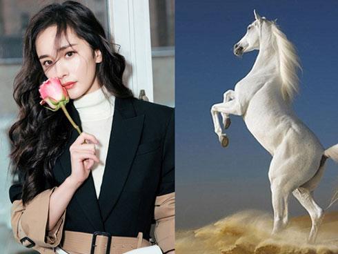 3 con giáp đầy lòng vị tha bao dung, dù chồng có sai lầm hay ngoại tình cũng dễ dàng tha thứ-5