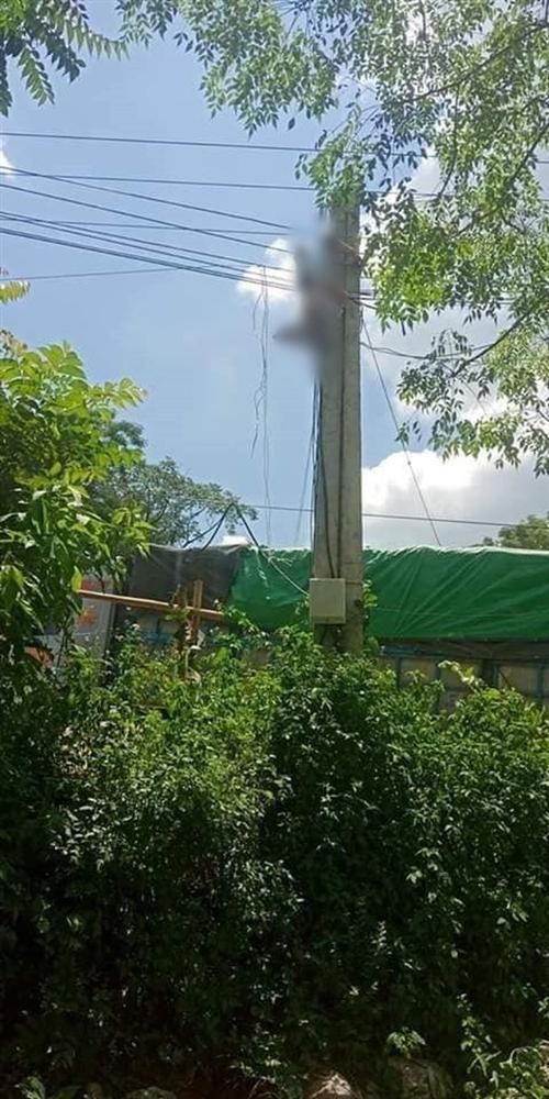 Kinh hoàng phát hiện người đàn ông bị điện giật, treo ngược trên cột điện-1