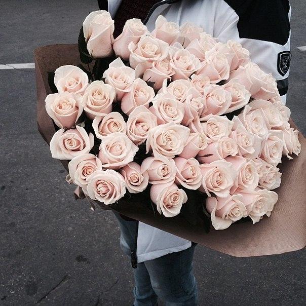 Tử vi thứ Năm ngày 1/8/2019 của 12 con giáp: Tuất sức khỏe giảm sút, Hợi có vận may trúng số-2