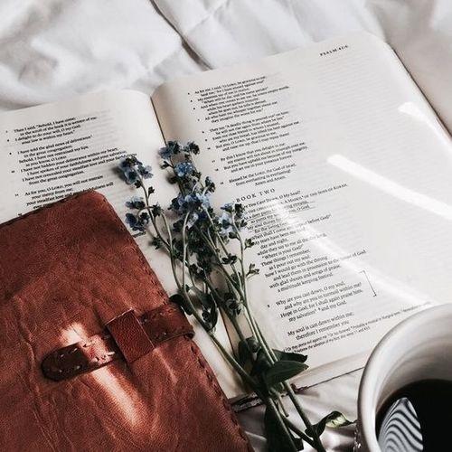 Tử vi thứ Năm ngày 1/8/2019 của 12 con giáp: Tuất sức khỏe giảm sút, Hợi có vận may trúng số-4