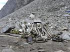Bí ẩn hồ xương người khổng lồ trên đỉnh Himalaya