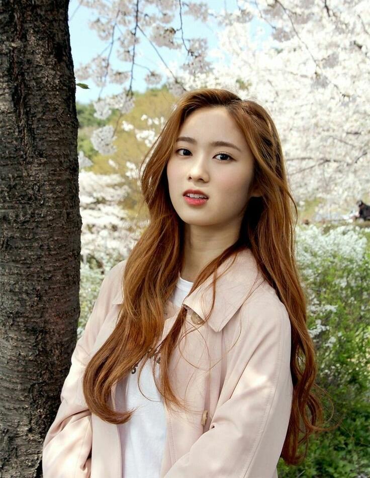 Tử vi thứ Sáu ngày 2/8/2019 của 12 con giáp: Tý tình cảm thăng hoa, Sửu sai sót công việc-4