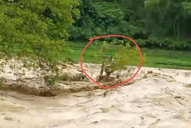 Clip: Thót tim nhìn cụ bà mắc kẹt giữa dòng nước lũ cuồn cuộn, cháu gái vừa quay clip vừa gào khóc thảm thiết-1