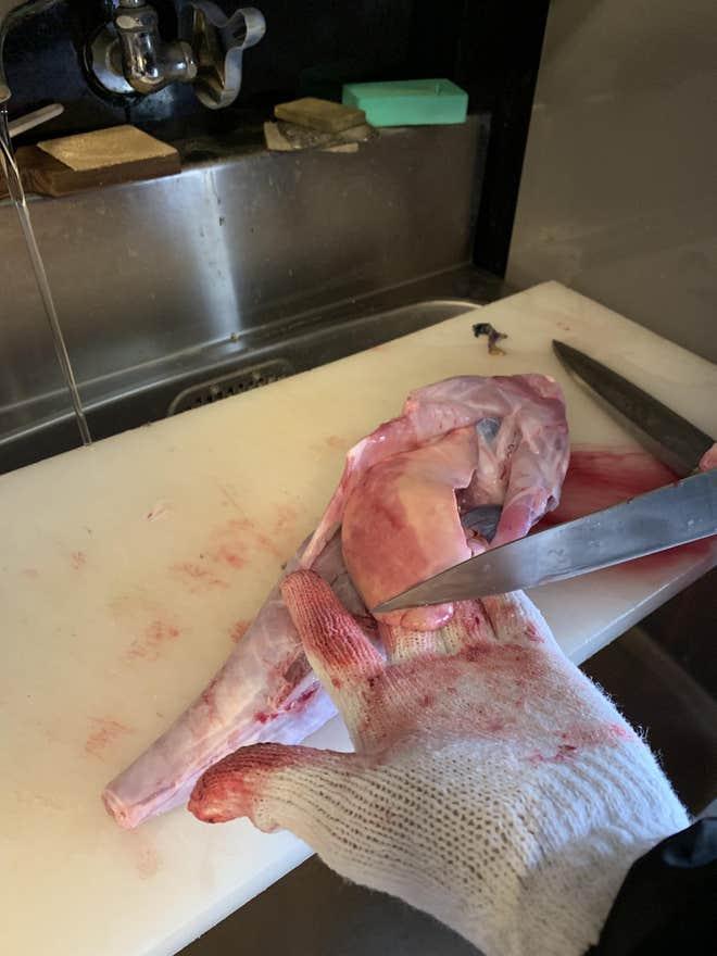 Con cá vừa xấu xí vừa kịch độc mà có giá gần 7 triệu một miếng bé xíu-2