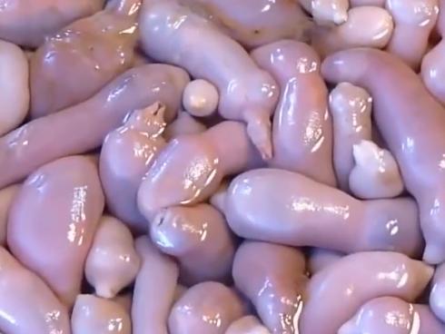 Trời mưa bão ăn cua, ghẹ thì còn gì phê bằng, nhưng những người này ăn thì lại nguy hiểm-2