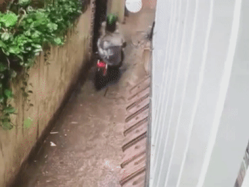 Clip: Tên trộm khổ sở dù lấy được chiếc xe phân khối lớn trong mưa bão